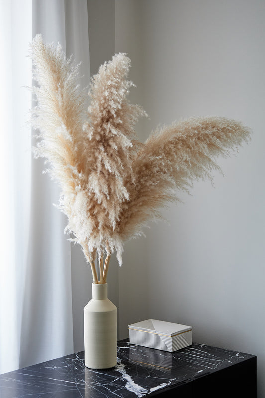How To Prevent Dried Pampas Grass From Shedding?