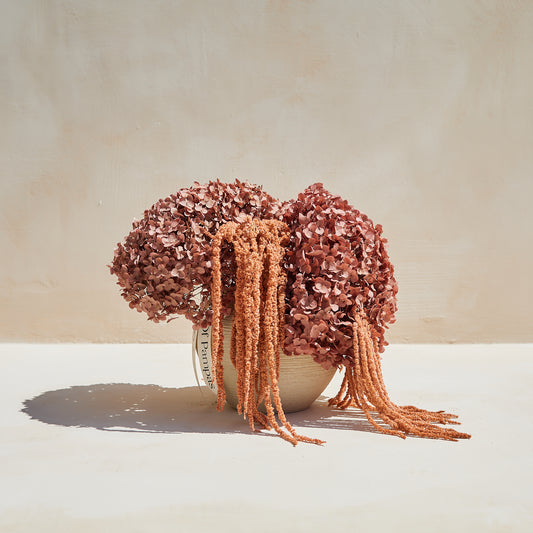 Preserved Hydrangeas & Amaranthus Set in Low Round Vase - Brown