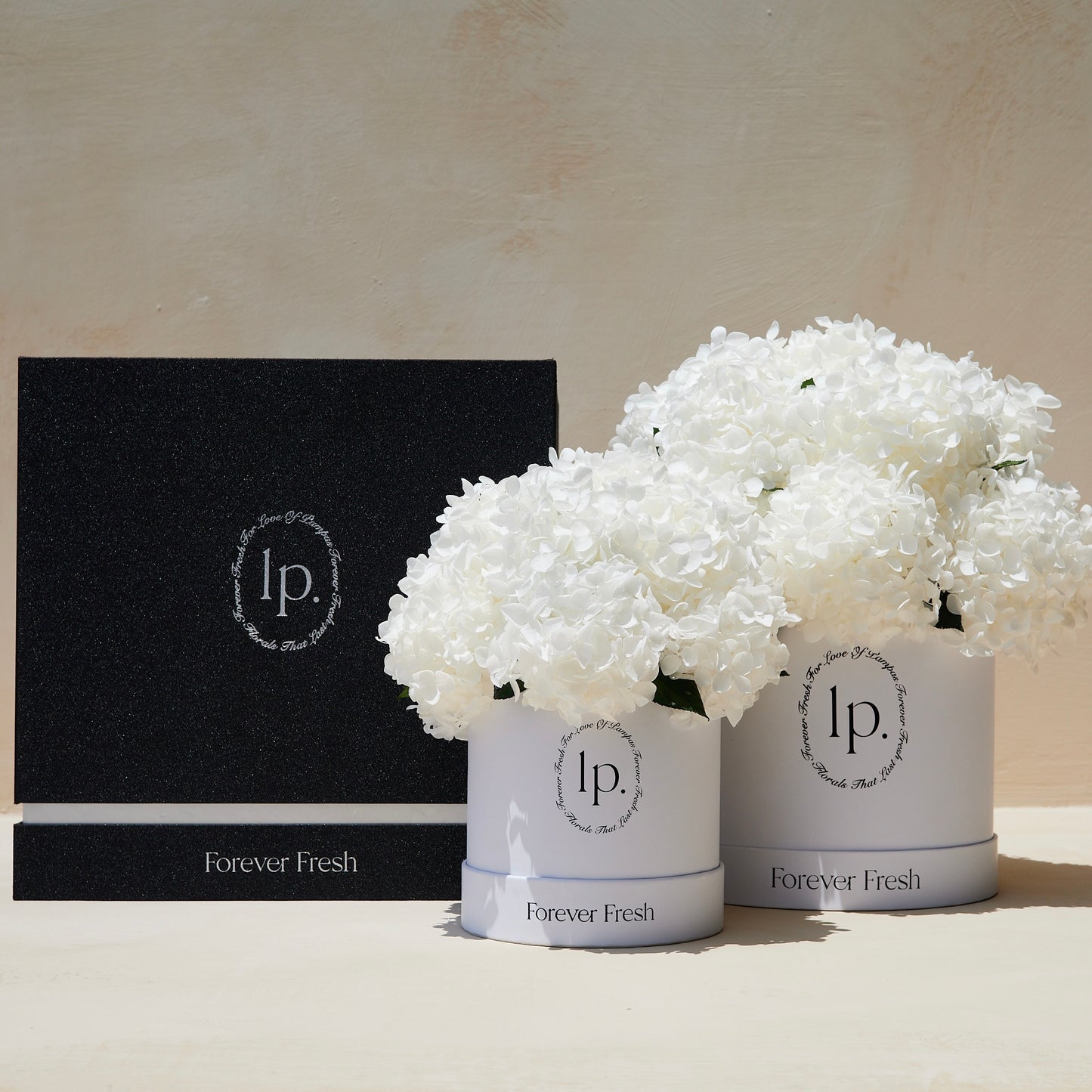 Preserved Hydrangeas - White (Large)