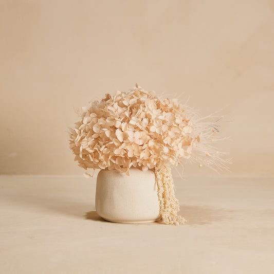 Oat Petit Bouquet in Vase
