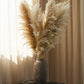 XL Pampas Grass - Beige (Set of 9)