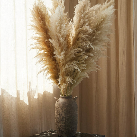 XL Pampas Grass - Beige (Set of 9)