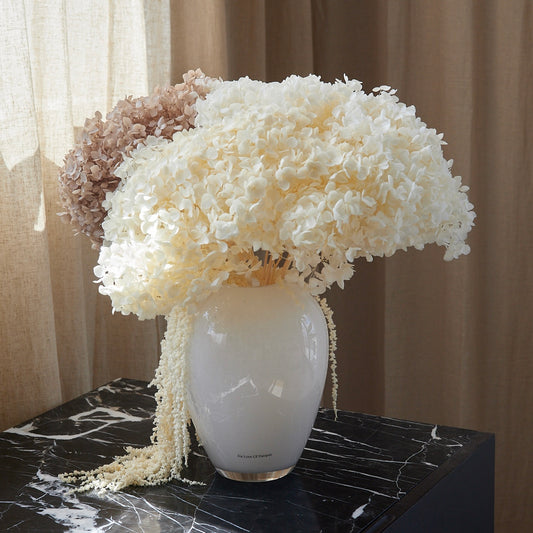 Preserved Hydrangeas & Amaranthus Set in Glass Vase - Cream
