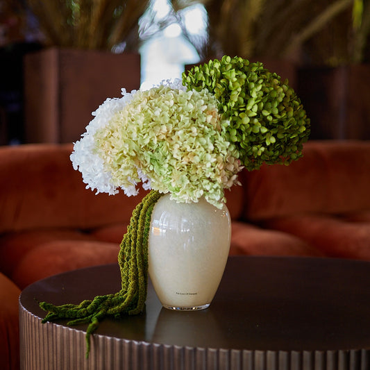Preserved Hydrangeas & Amaranthus Set in Glass Vase - Green