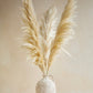 XL Pampas Grass - Beige (Set of 3)