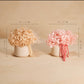 Oat Petit Bouquet in Vase