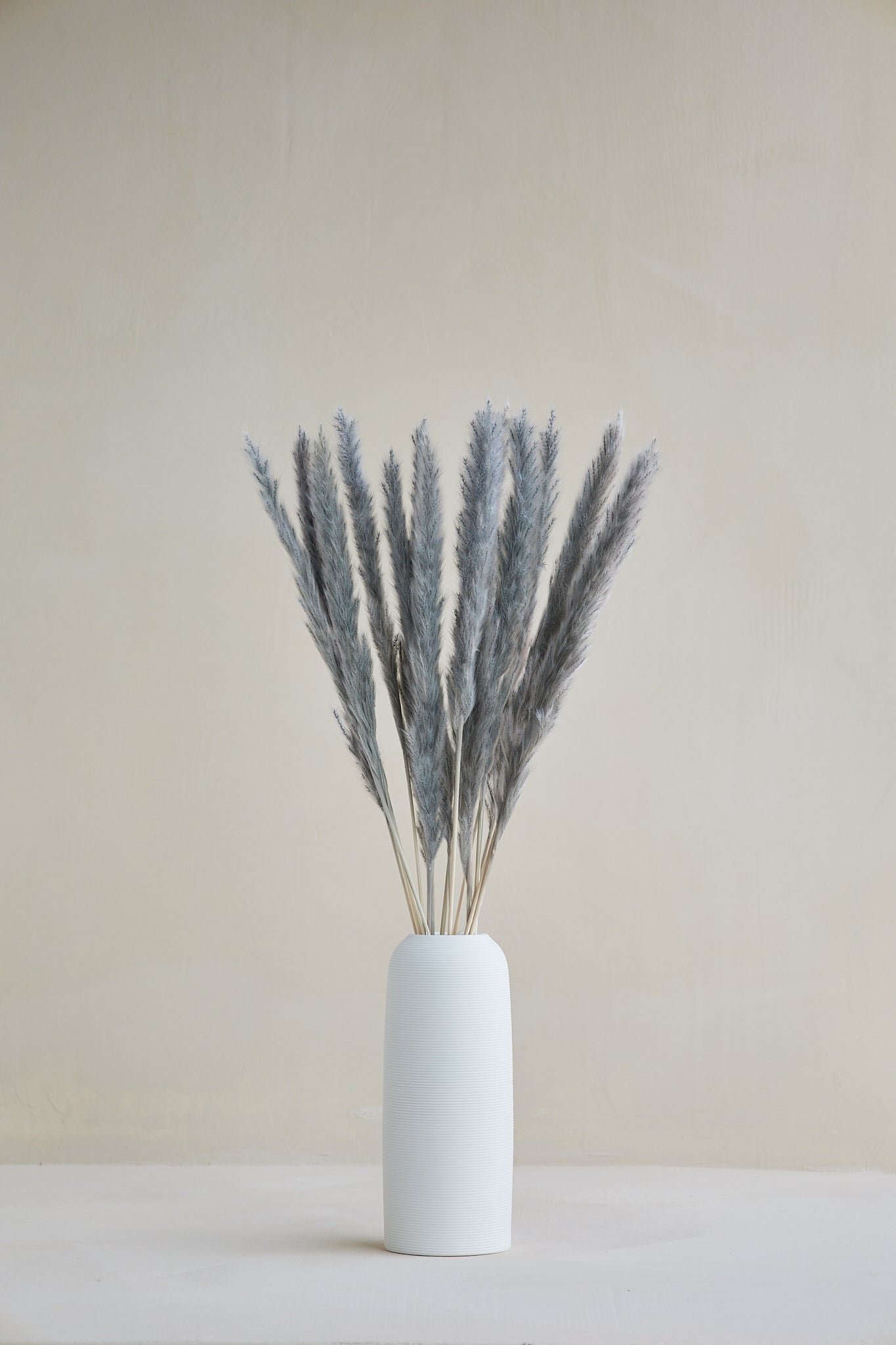 Small Pampas Grass - Frost Blue (15 stems)