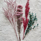 Dried Flower Set - Rosé