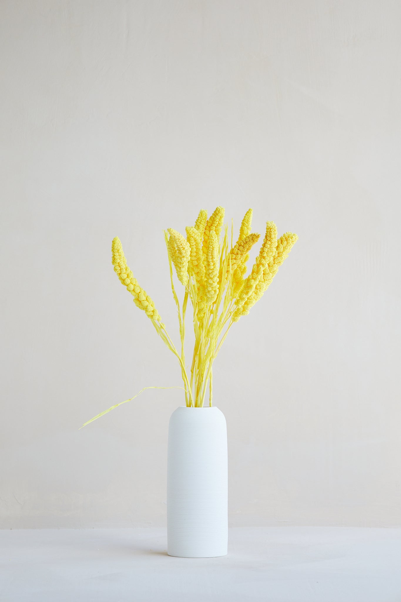 Preserved Millet Grass - Yellow