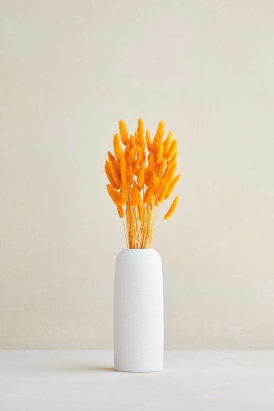 Bunny Tails - Orange (60 stems)