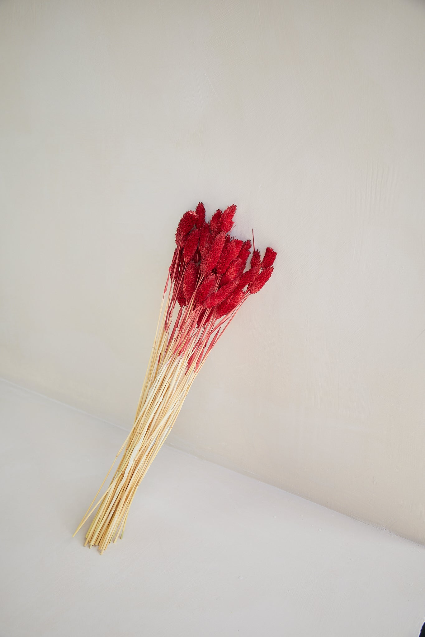 Rabbit Tails - Red – For Love Of Pampas