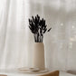 Bunny Tails - Black (60 stems)