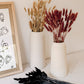 Bunny Tails - Natural (60 stems)