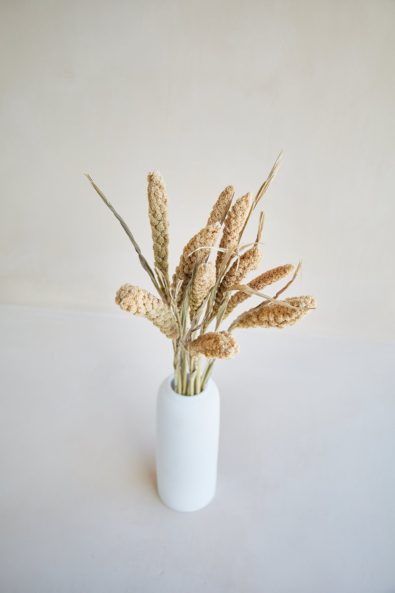 Natural Dried Flowers & Preserved Grasses at