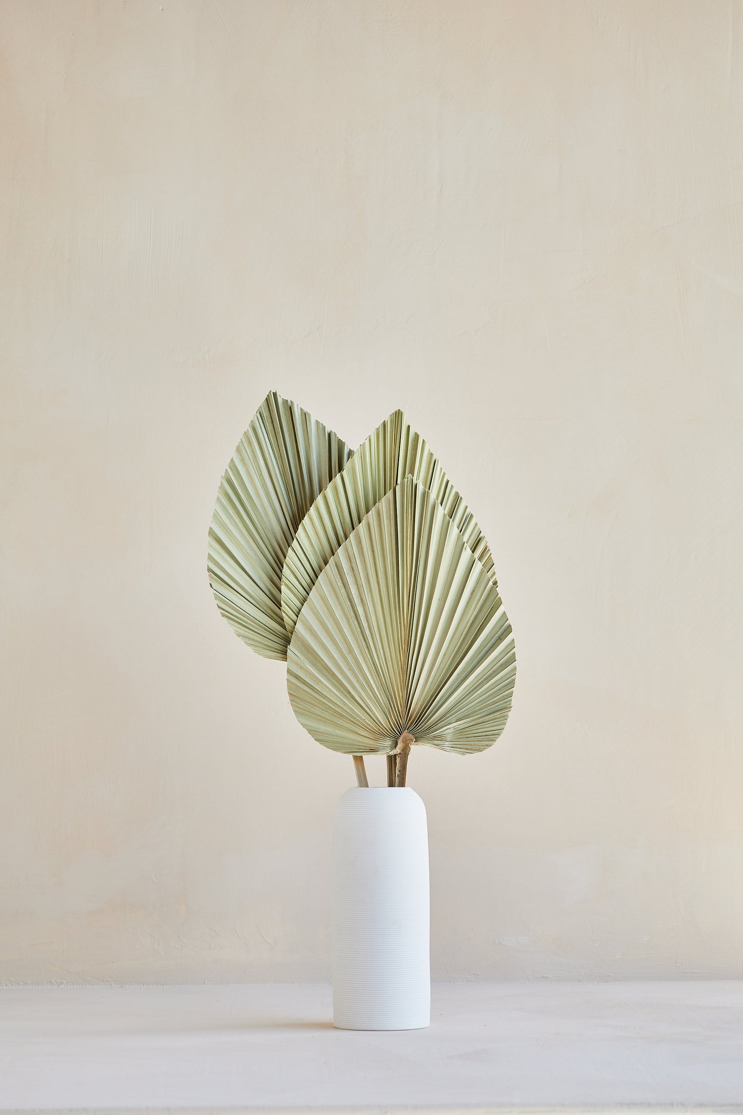 Small Dried Palm Leaves - Set of 3 stems