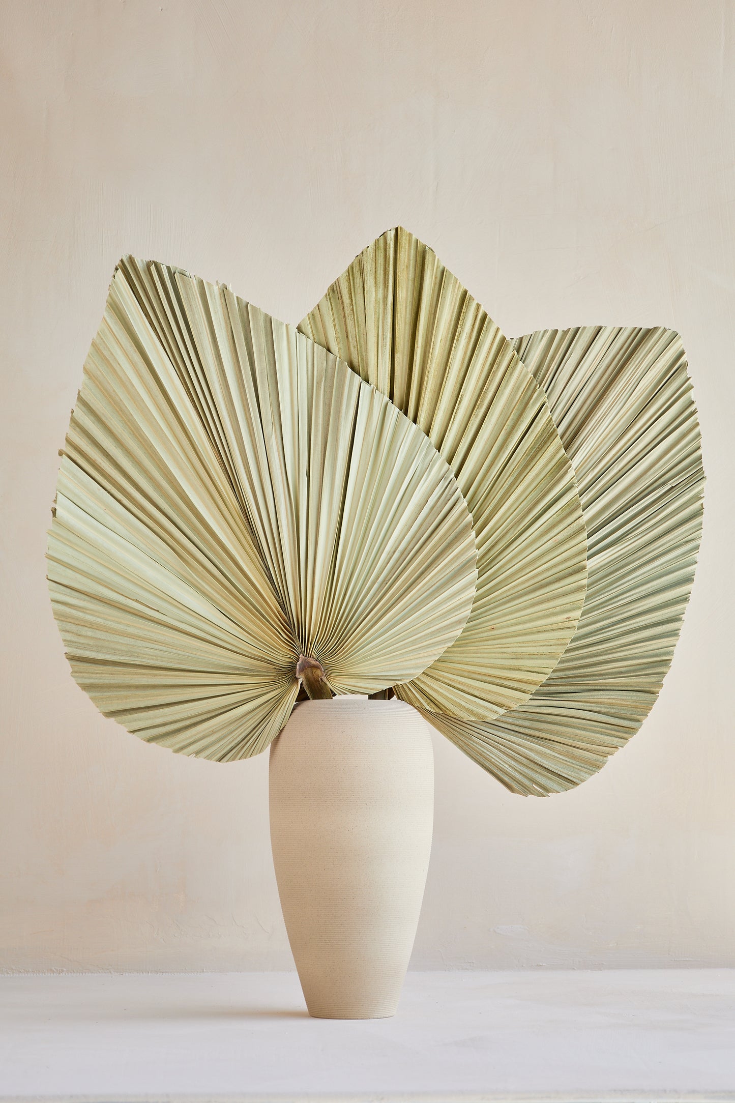 Large Dried Palm Leaves - Set of 3
