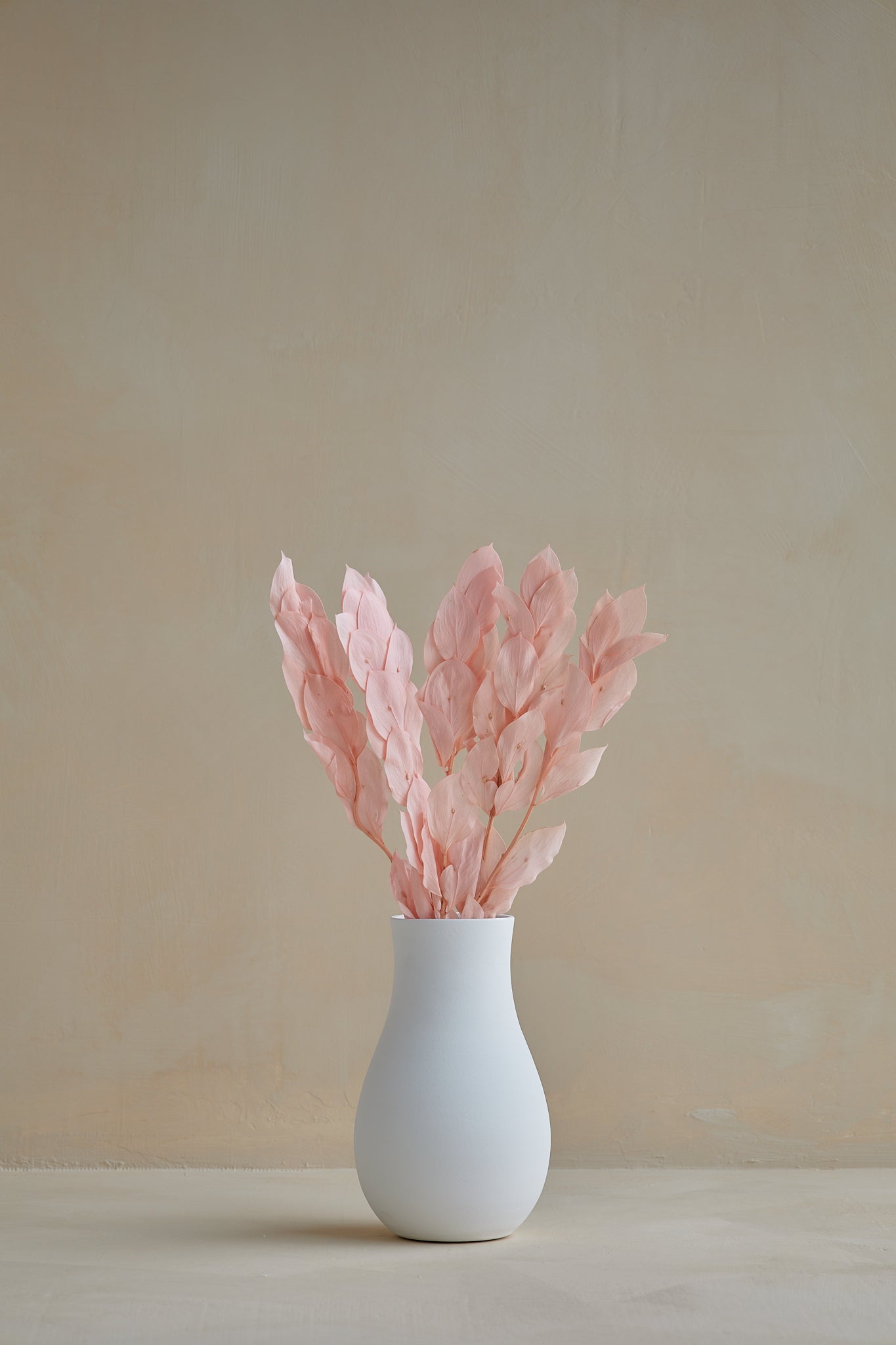 Long Leaf Ruscus - Pink