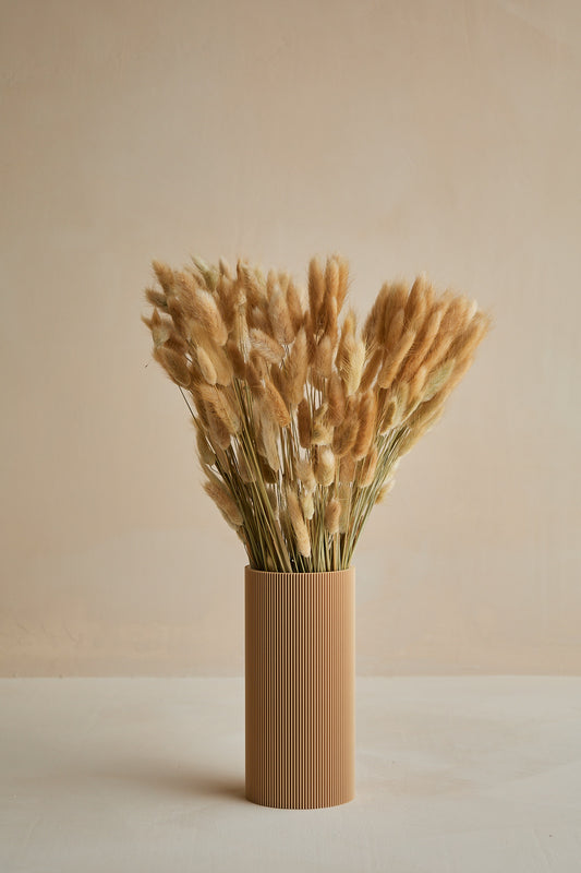 Bunny Tails - Natural (180 stems)