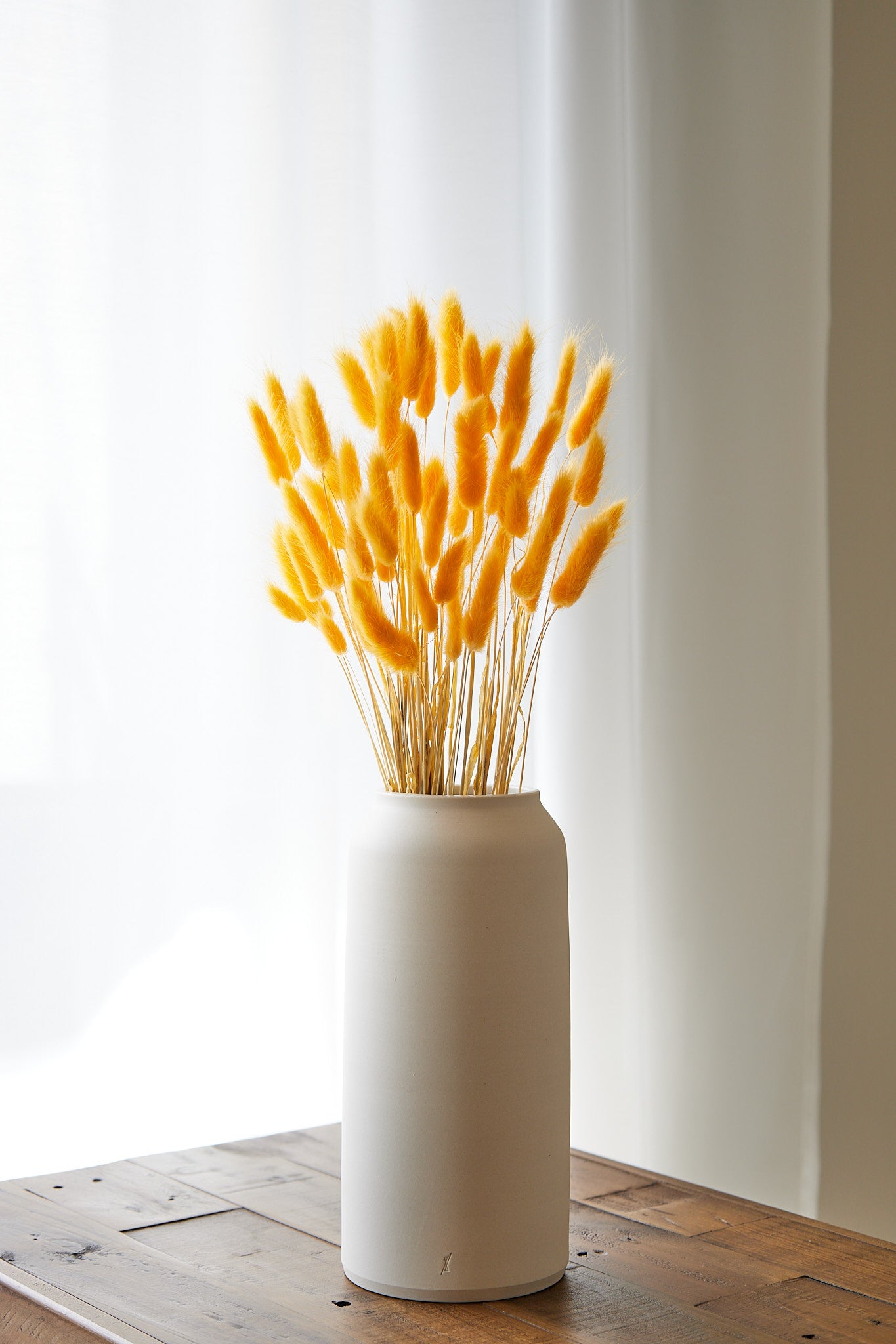 Bunny Tails - Yellow (60 stems)