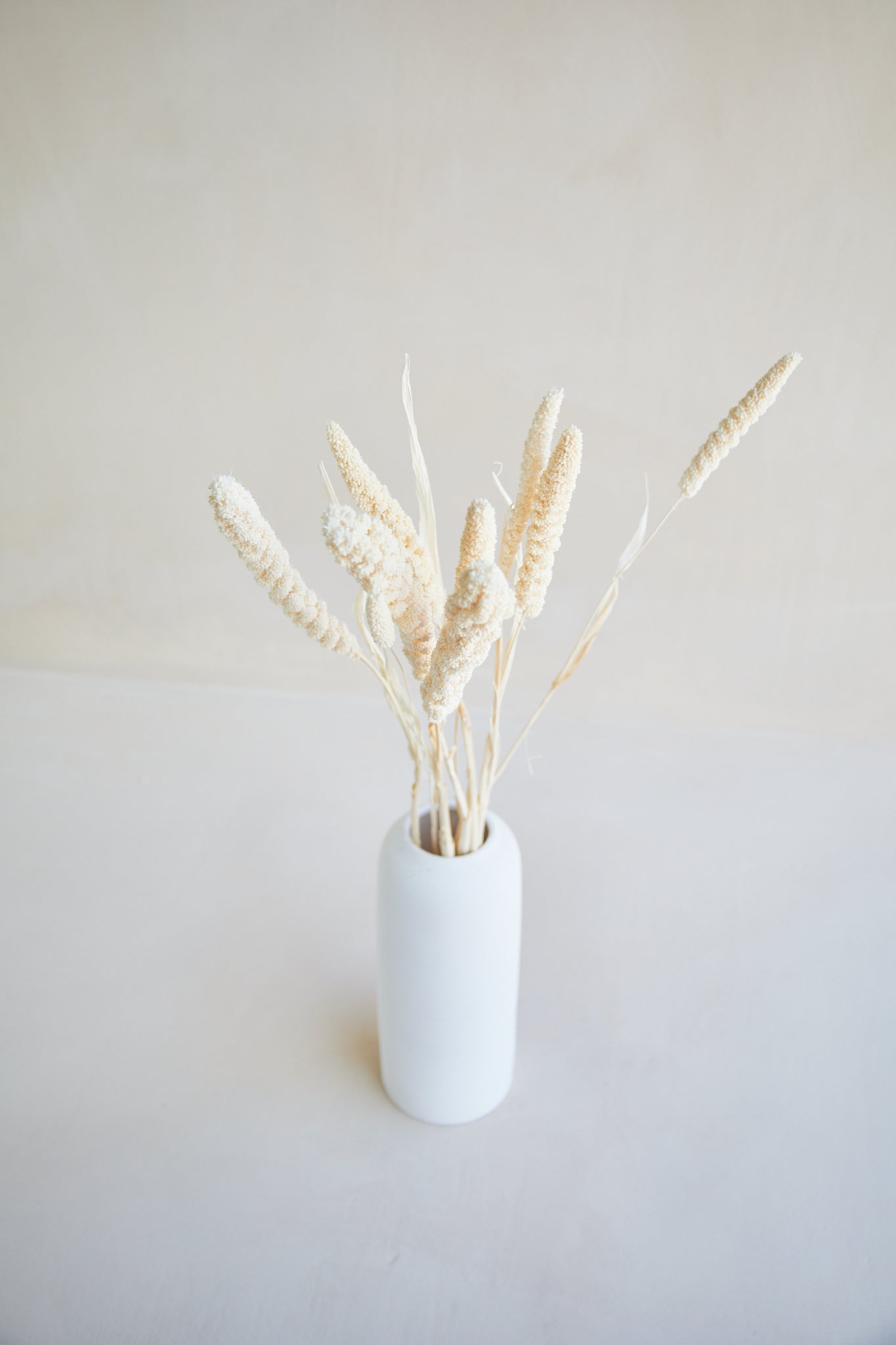 Preserved Millet Grass - White