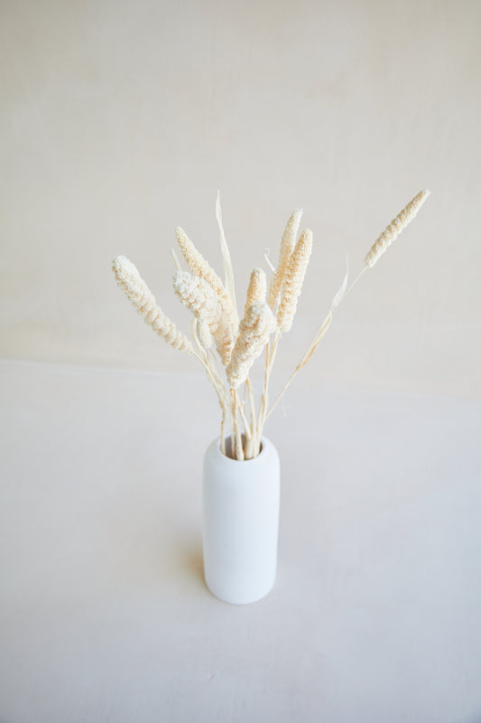 Preserved Millet Grass - White