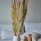 Tropical Palm Leaves - Set of 3