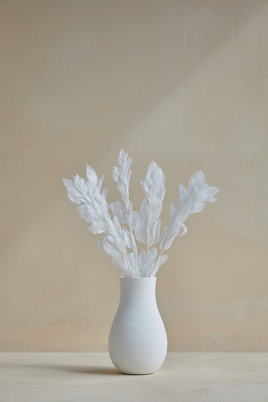 Long Leaf Ruscus - White