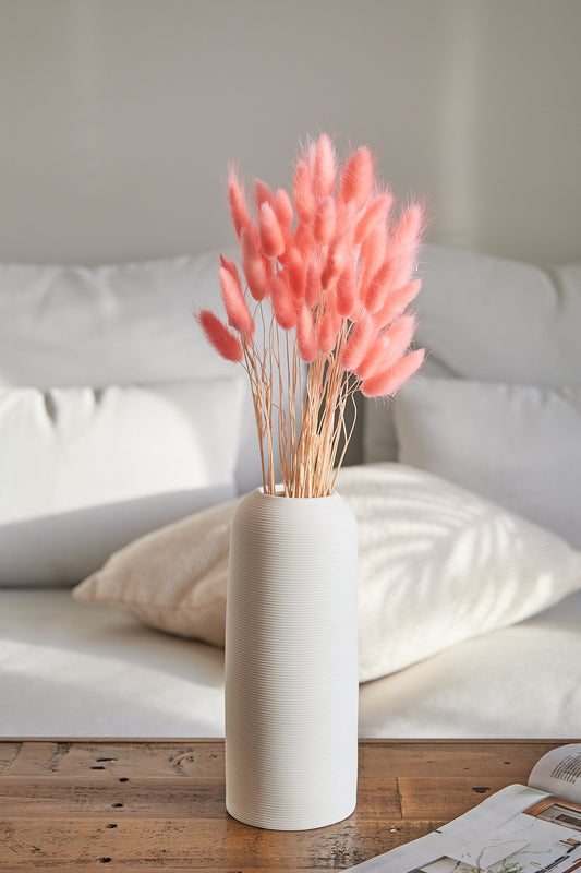 Bunny Tails - Pink (60 stems)