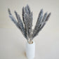 Small Pampas Grass - Frost Blue (15 stems)